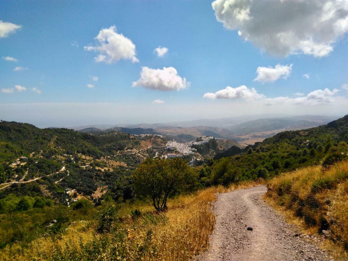Madre Mia Apartment Casares Kültér fotó